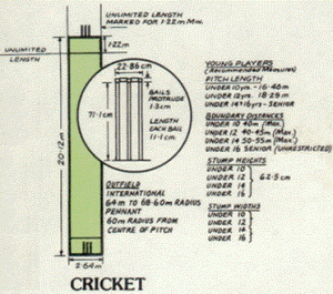 Cricket collection open house схема